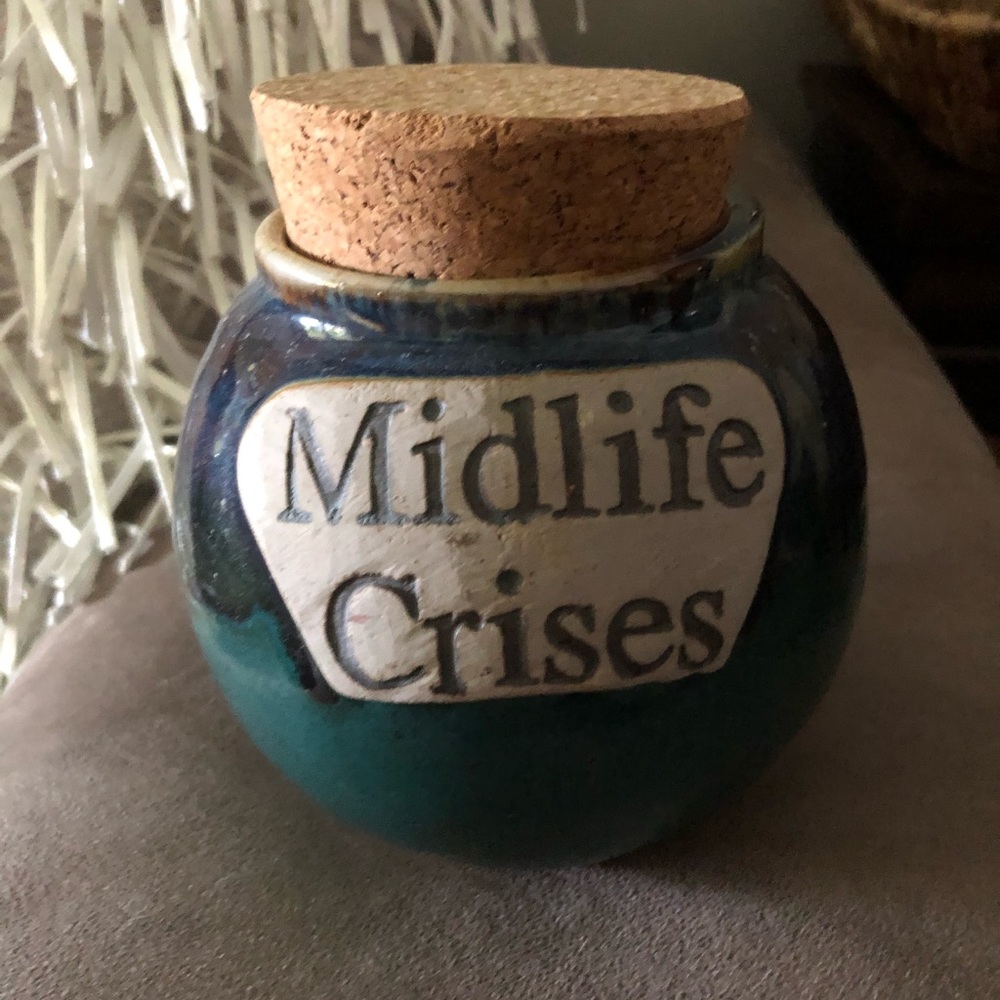 Tumbleweed Pottery Collectable Money Jar